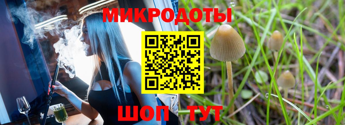 Галлюциногенные грибы Magic Shrooms  продажа наркотиков  Нововоронеж  Галлюциногенные грибы MAGIC MUSHROOMS  Вход с VPN 